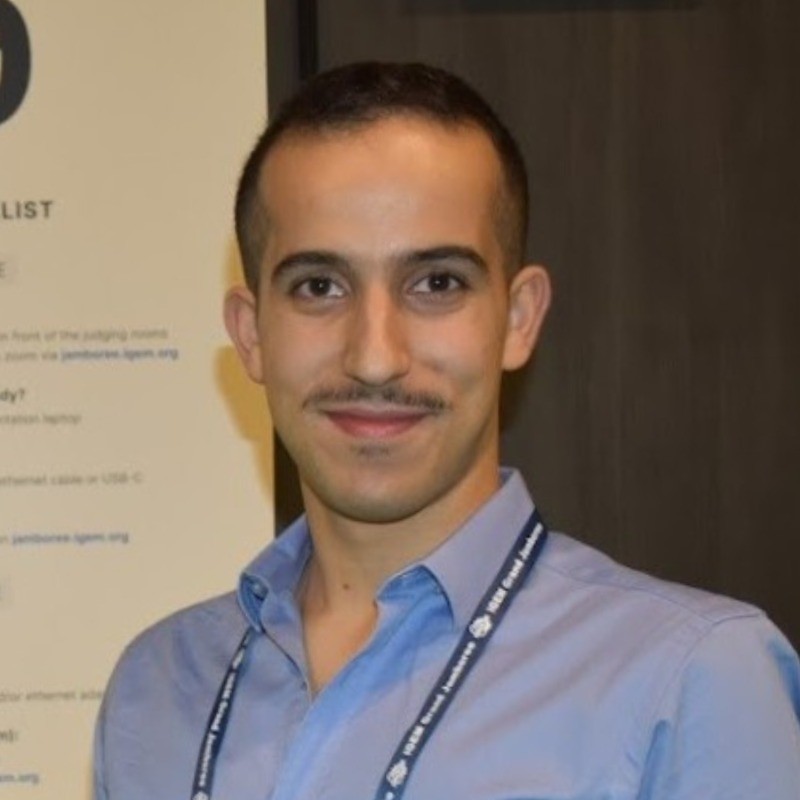 Picture of Mattan Hoory